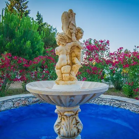 Elatia * Volímai